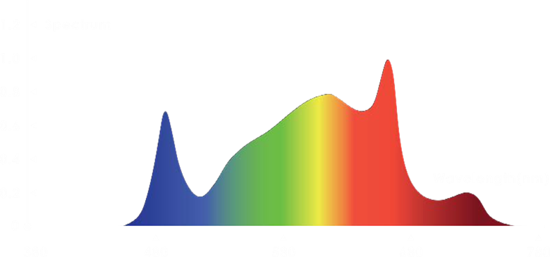 Custom Spectrum