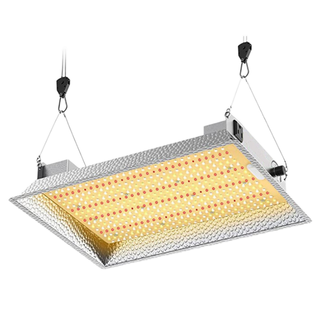 XLITE Quantum grow board