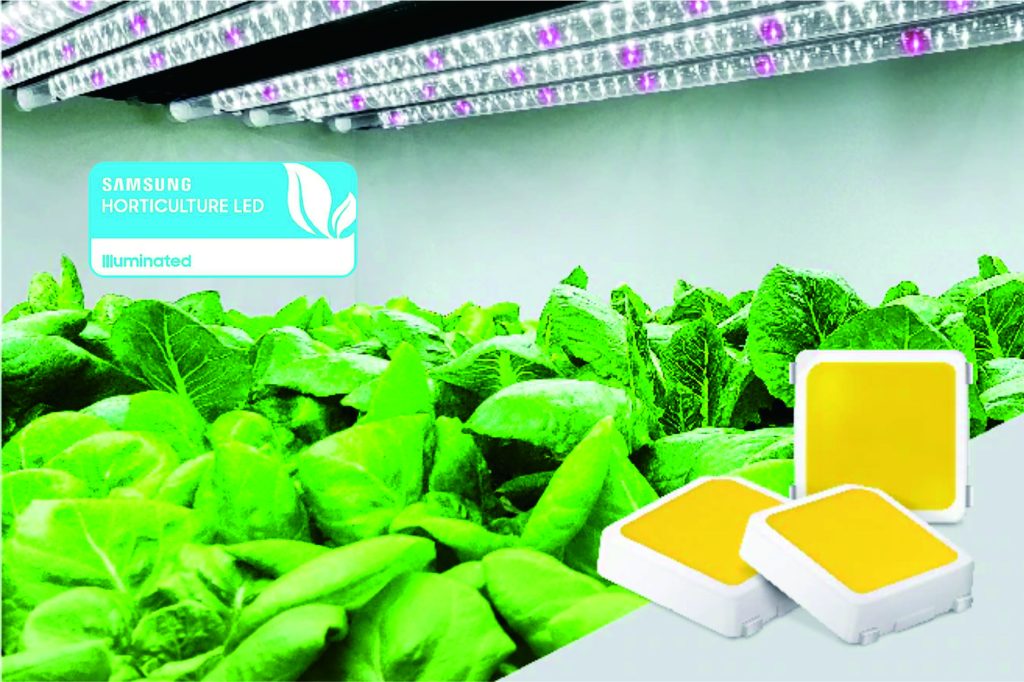The Ultimate Professional Guide to Samsung LED Grow Lights